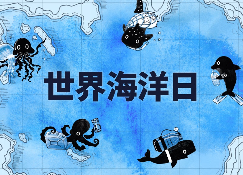 測一測你是哪一種海洋生物