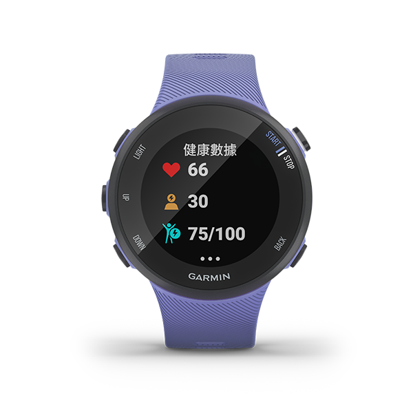 forerunner 45 gps large