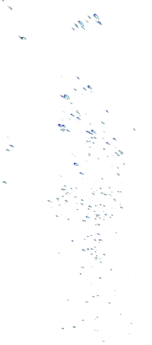 bubble02