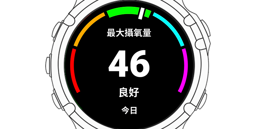 最大攝氧量 VO2 Max