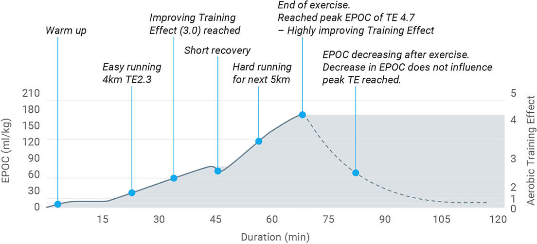 A graph showing excess post-exercise consumption derived from heart rate data during exercise.