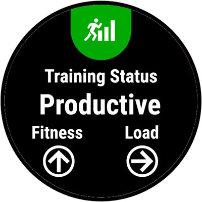 A watch screen showing training status.