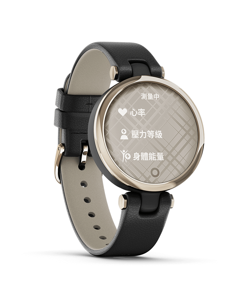 Lily Smartwatch | Garmin Hong Kong